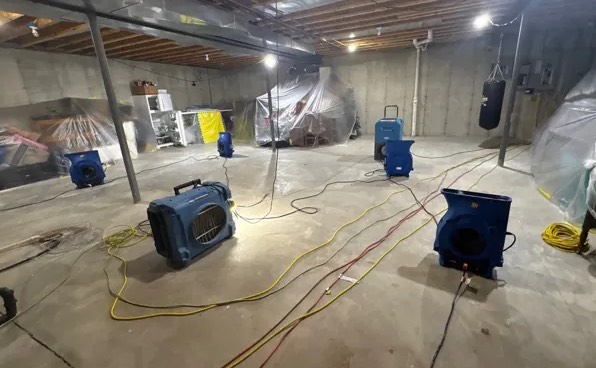 Basement Damage Restoration in Auburn, WA