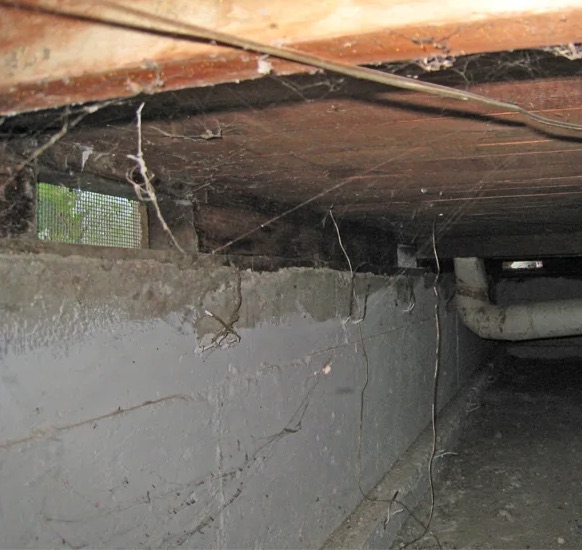 Crawlspace Water Damage Cleanup in Auburn, WA