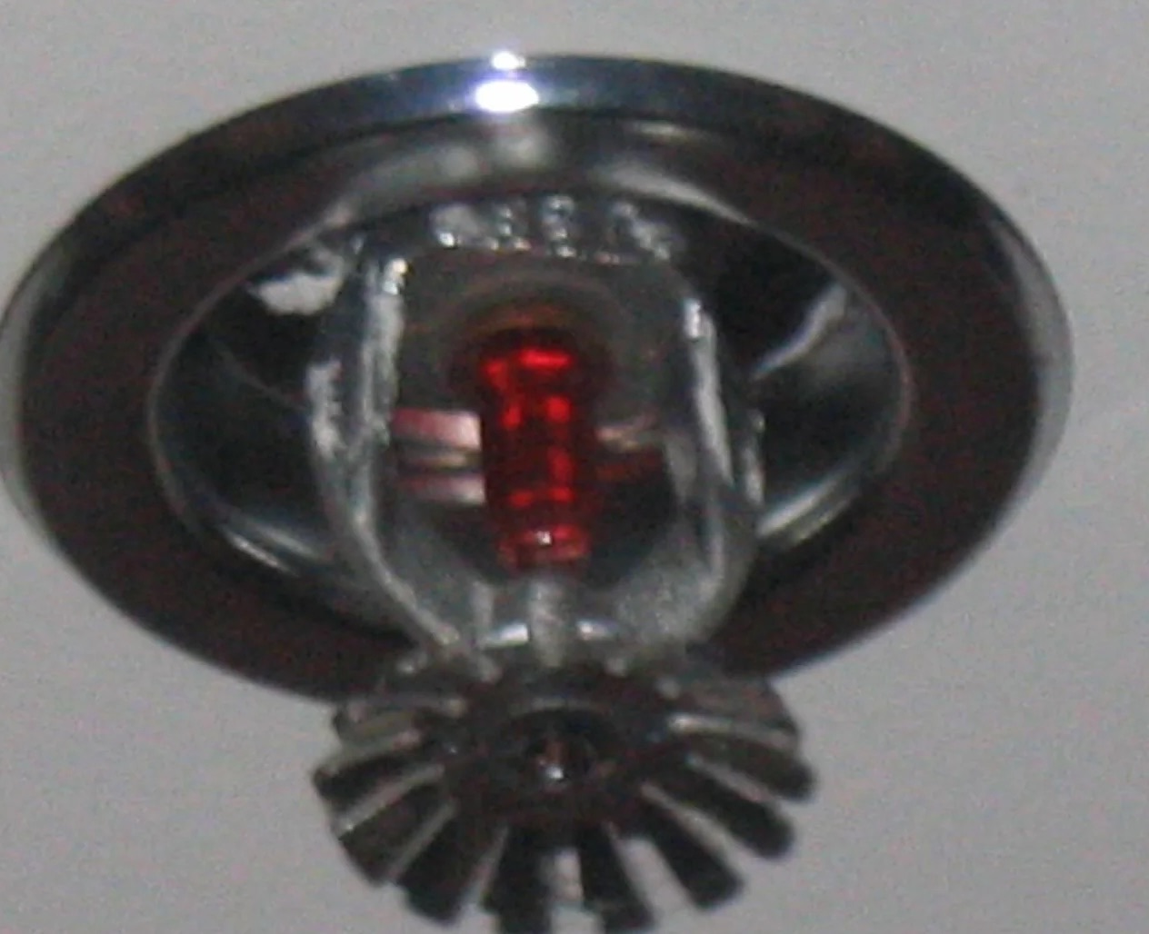 Fire Hose Water Damage Cleanup in Auburn, WA