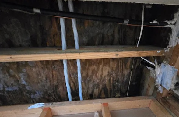 Roof Leak Repair & Water Damage Mitigation in Auburn, WA