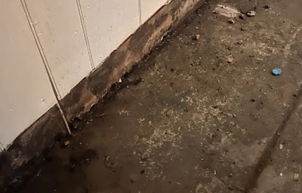 Biohazard and Trauma Cleanup in Auburn, WA