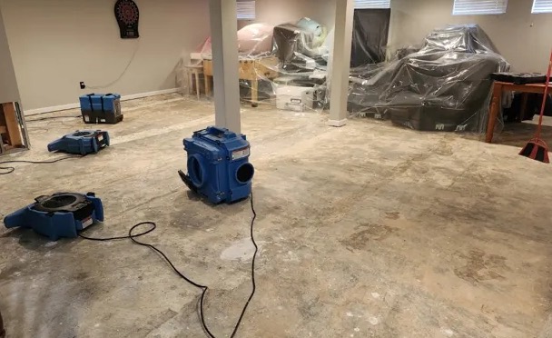 Contents Restoration in Auburn, WA